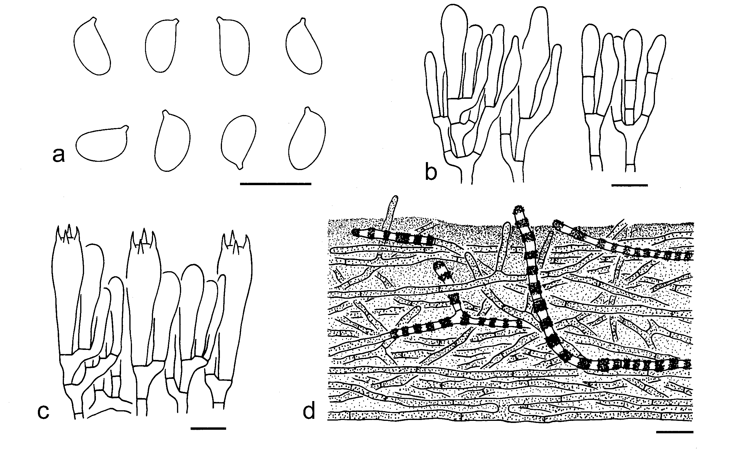 Figure 29